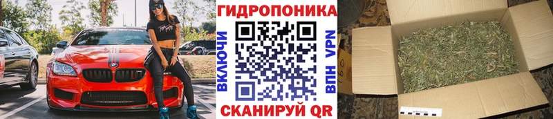 Канабис индика  дарк нет формула  Ветлуга 